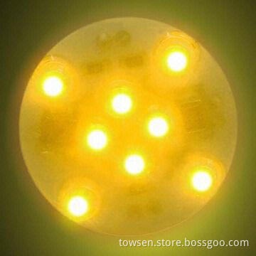 E10 LED Amusement/Fair Light for Amusement Rides, with 12pcs LEDs, 24V/60V